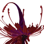Creatures of Sonaria Vespritte creature reference image